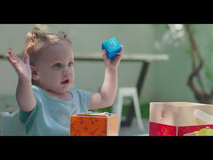 Hape Xylophone Shape Sorter