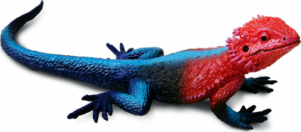 Mwanza Flat-Headed Rock Agama Toy Figure