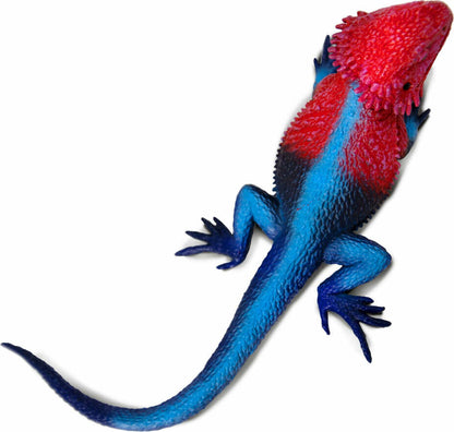 Mwanza Flat-Headed Rock Agama Toy Figure