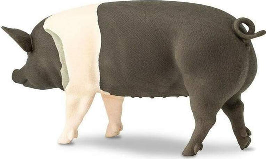 Hampshire Pig Toy