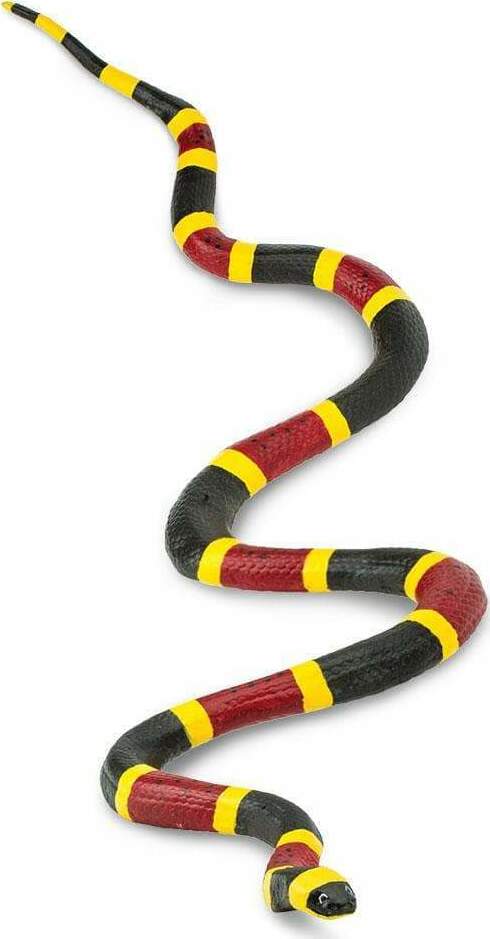 Coral Snake Toy