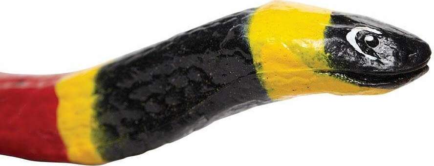 Coral Snake Toy