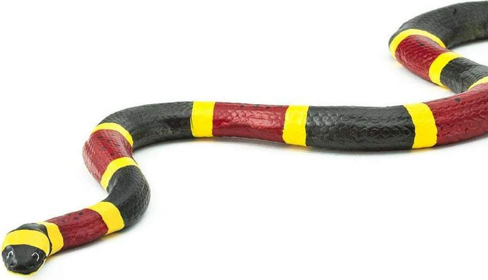 Coral Snake Toy