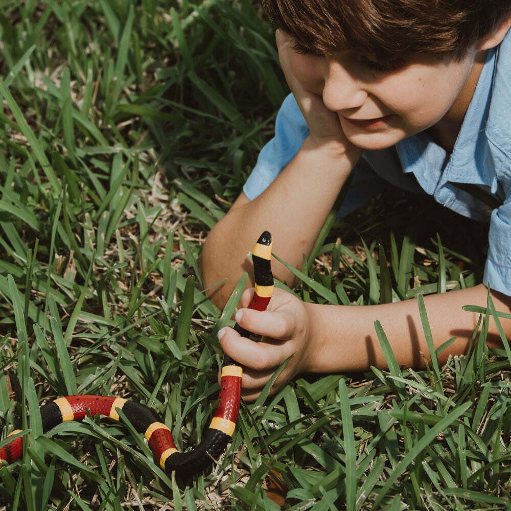 Coral Snake Toy