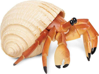 Hermit Crab Toy