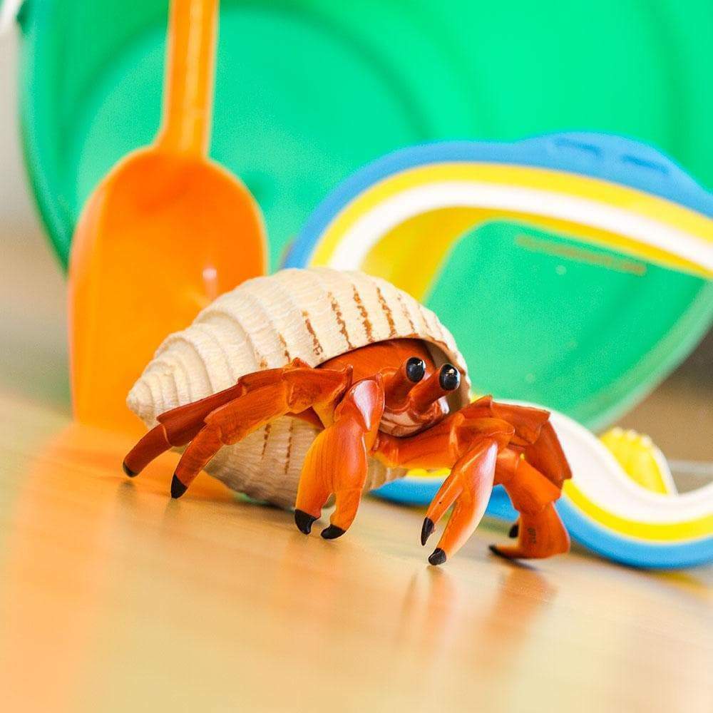 Hermit Crab Toy